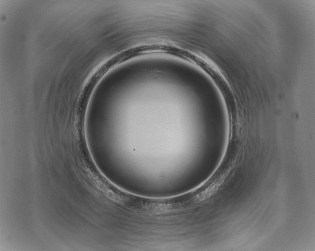 X0000073700783200608031213