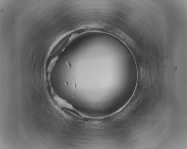 X0000073700784200608031213