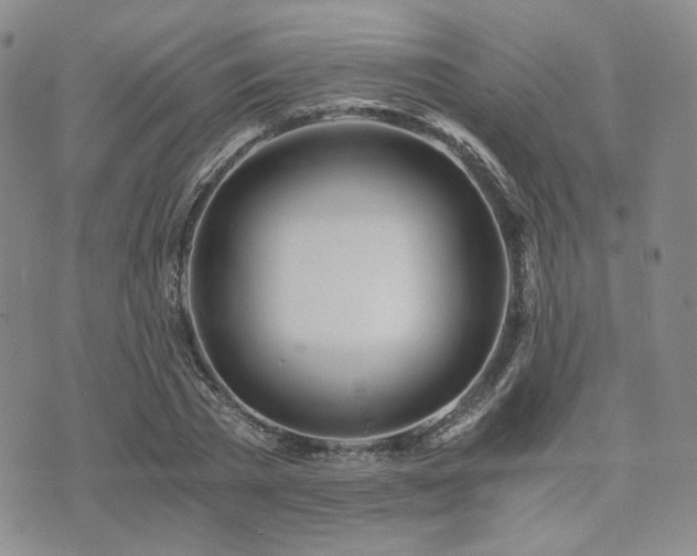 X0000073700785200608031213