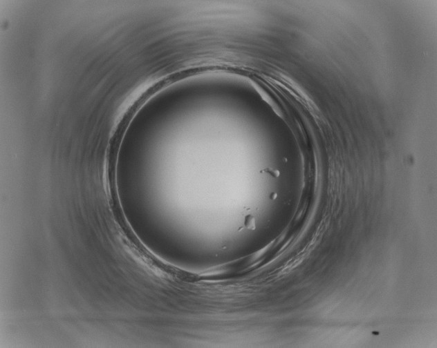 X0000073700788200608031213