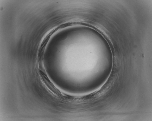 X0000073700791200608031213