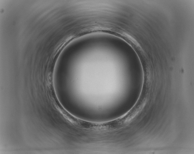 X0000073700793200608031213