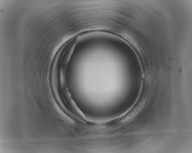 X0000073700797200608031213