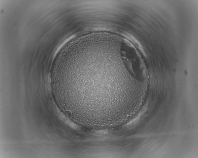 X0000073700798200608031213