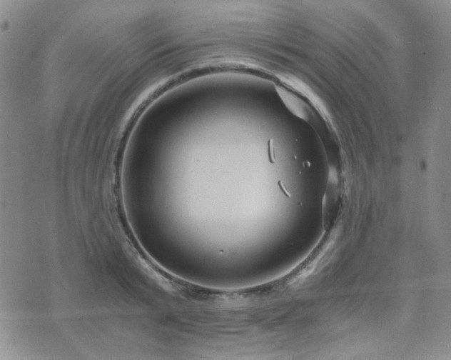 X0000073700799200608031213