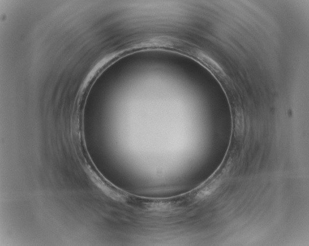 X0000073700800200608031213