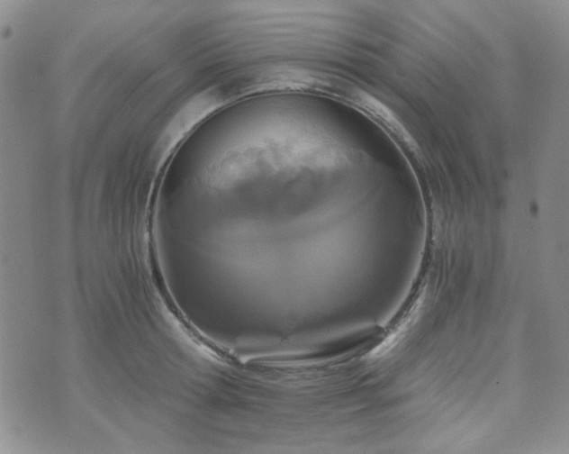 X0000073700802200608031213