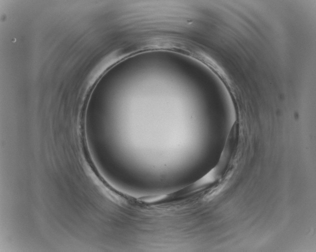 X0000073700803200608031213