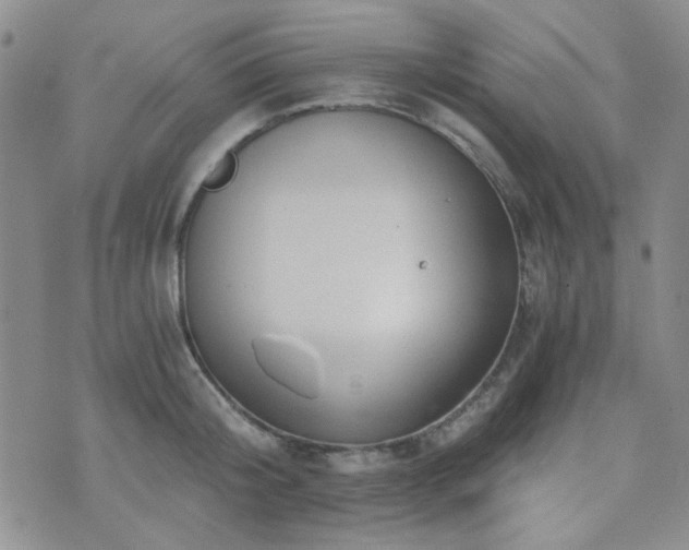 X0000073700804200608031213