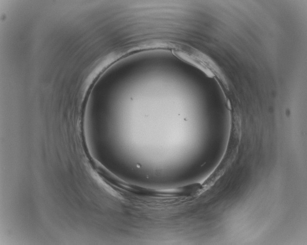 X0000073700805200608031213