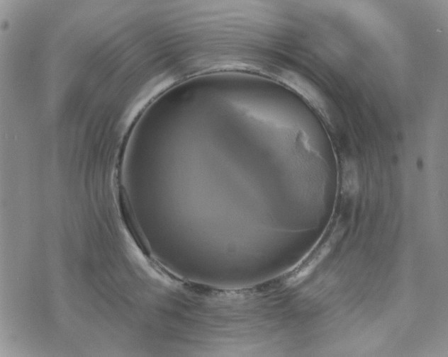 X0000073700806200608031213