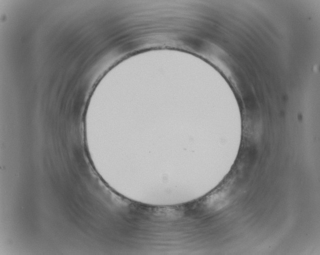 X0000073700807200608031213