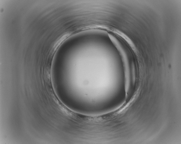 X0000073700809200608031213