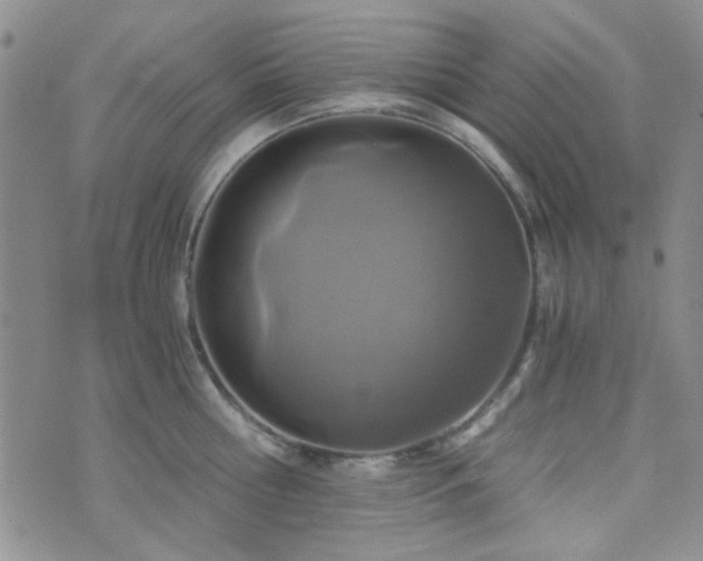 X0000073700810200608031213