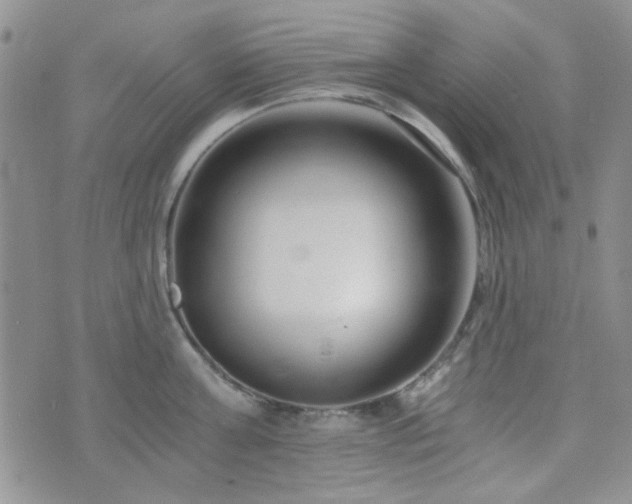 X0000073700811200608031213