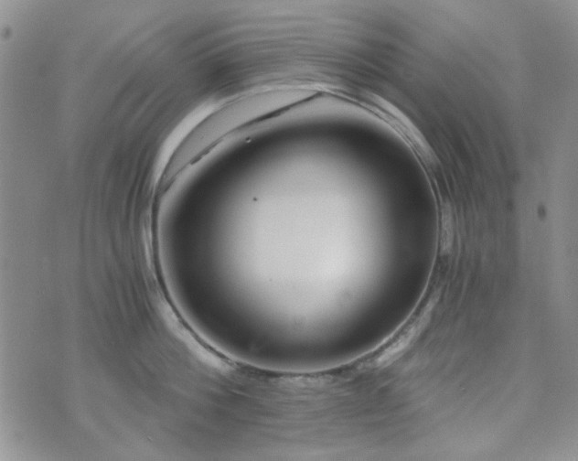 X0000073700812200608031213