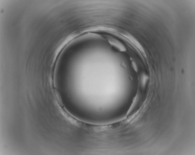 X0000073700813200608031213