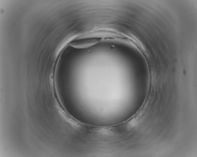 X0000073700814200608031213