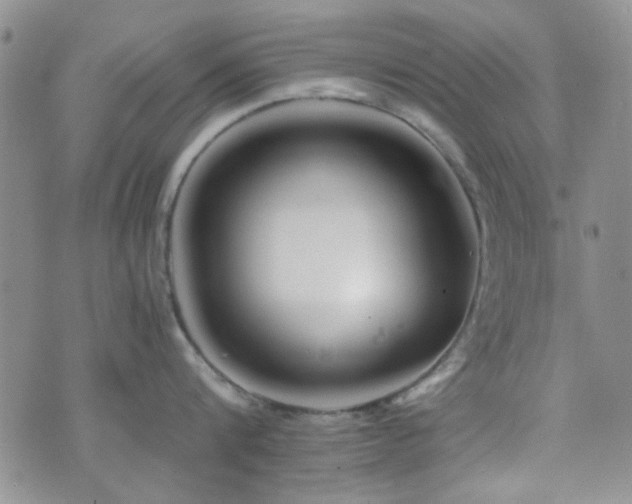 X0000073700816200608031213