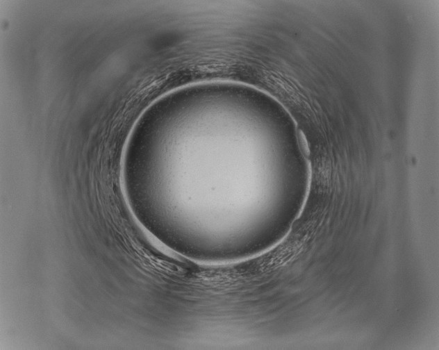 X0000073700817200608031212