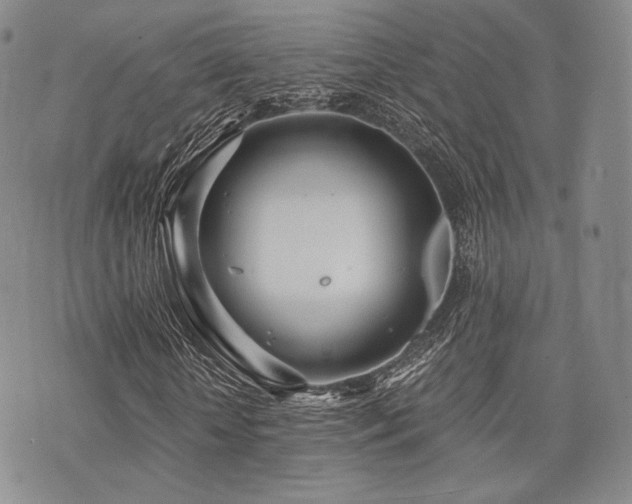 X0000073700818200608031212