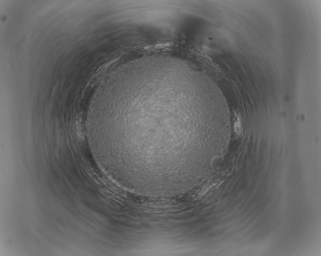 X0000073700819200608031212