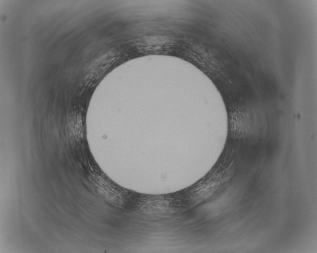 X0000073700820200608031212