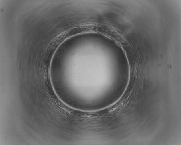 X0000073700821200608031212