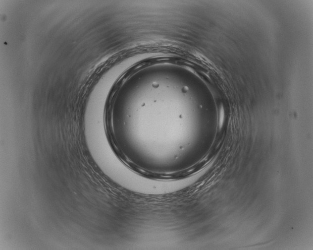 X0000073700822200608031212