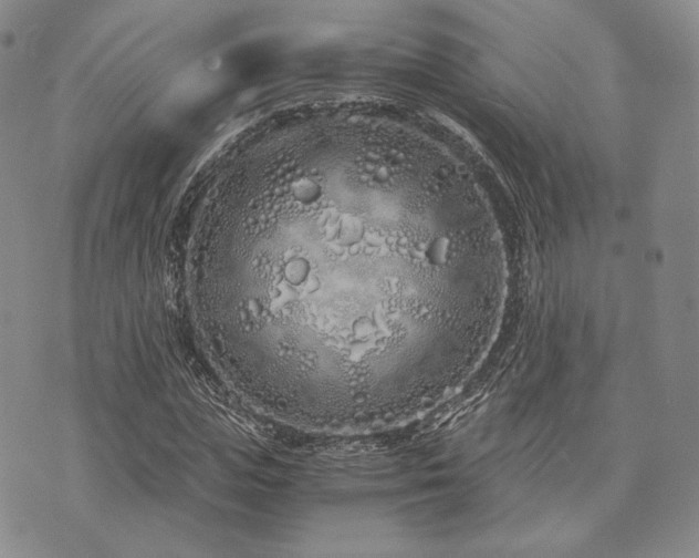 X0000073700823200608031212