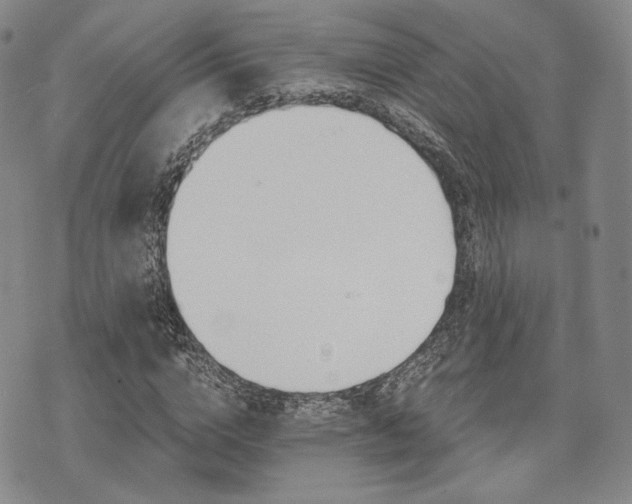 X0000073700824200608031212