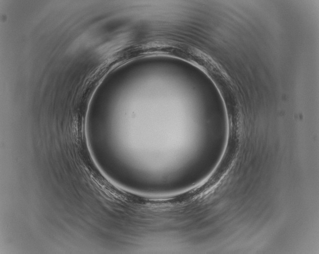 X0000073700825200608031212