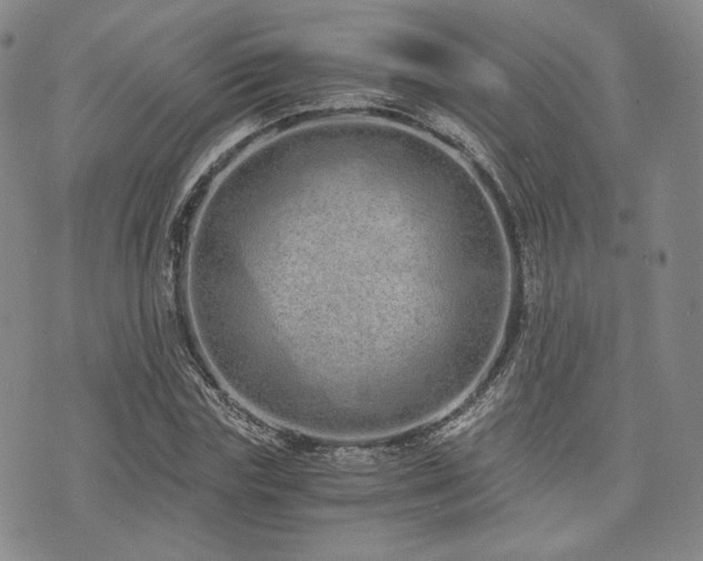 X0000073700827200608031212