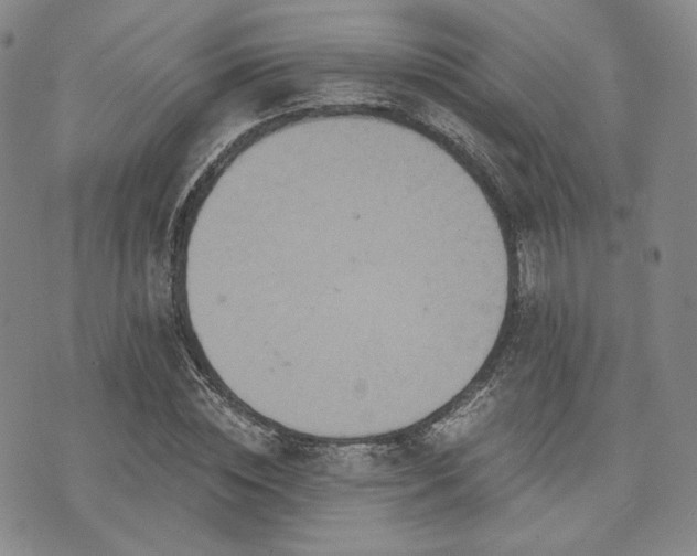 X0000073700828200608031212