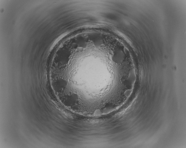 X0000073700829200608031212