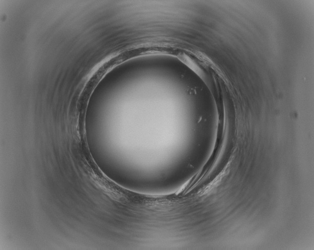 X0000073700830200608031212