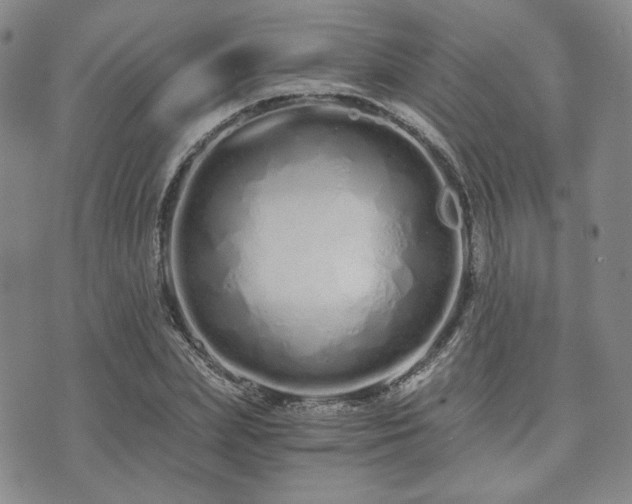 X0000073700831200608031212