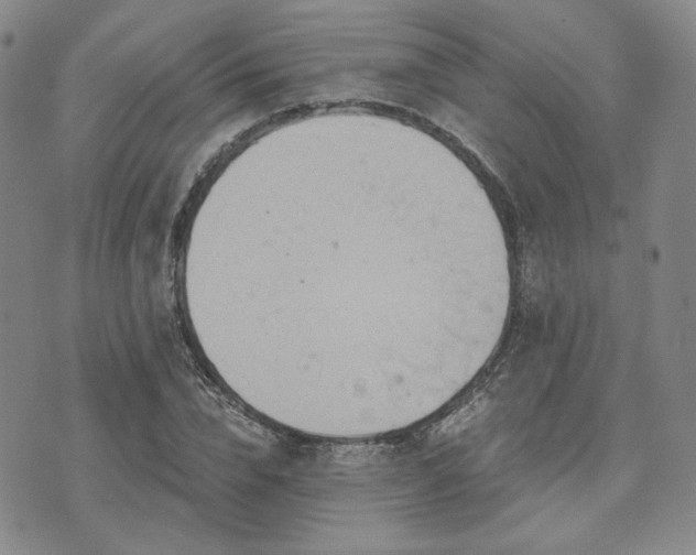 X0000073700832200608031212