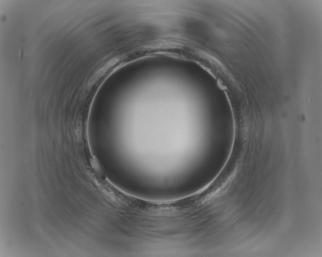 X0000073700833200608031212