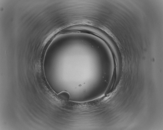 X0000073700834200608031212