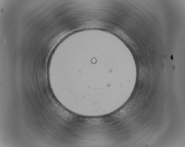 X0000073700836200608031212