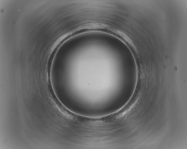 X0000073700837200608031212