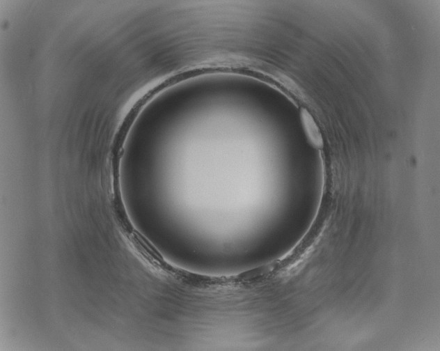 X0000073700838200608031212