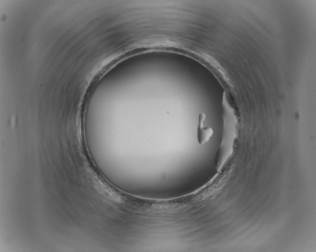 X0000073700840200608031212