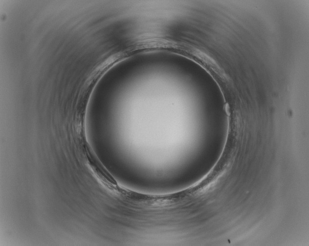 X0000073700841200608031212