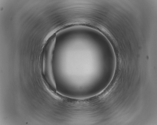 X0000073700842200608031212