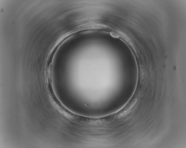 X0000073700843200608031212