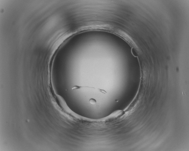 X0000073700844200608031212