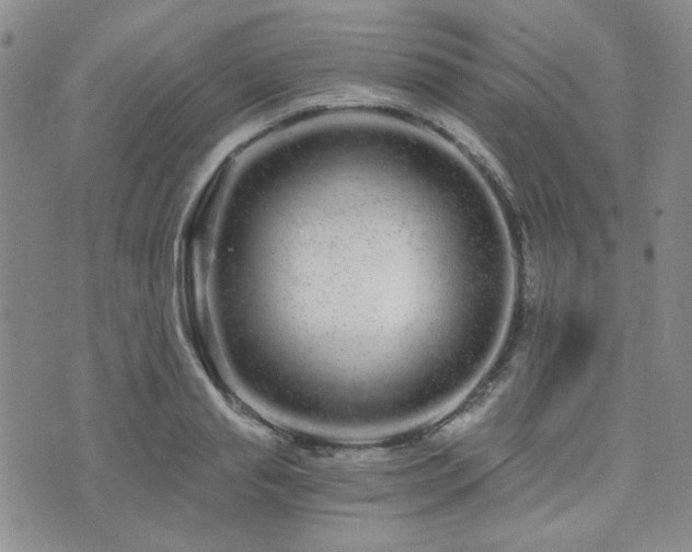 X0000073700845200608031212