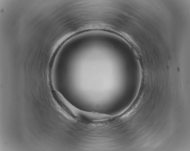 X0000073700846200608031212